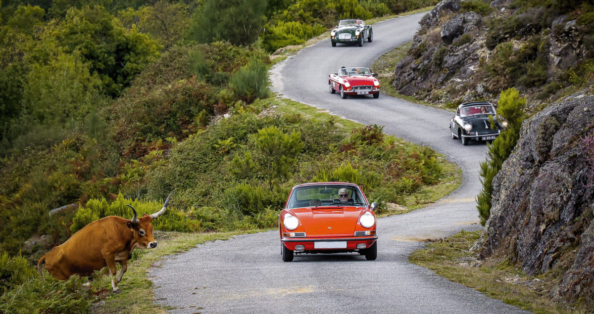 Classic Tours cars Peneda Geres_2 slider