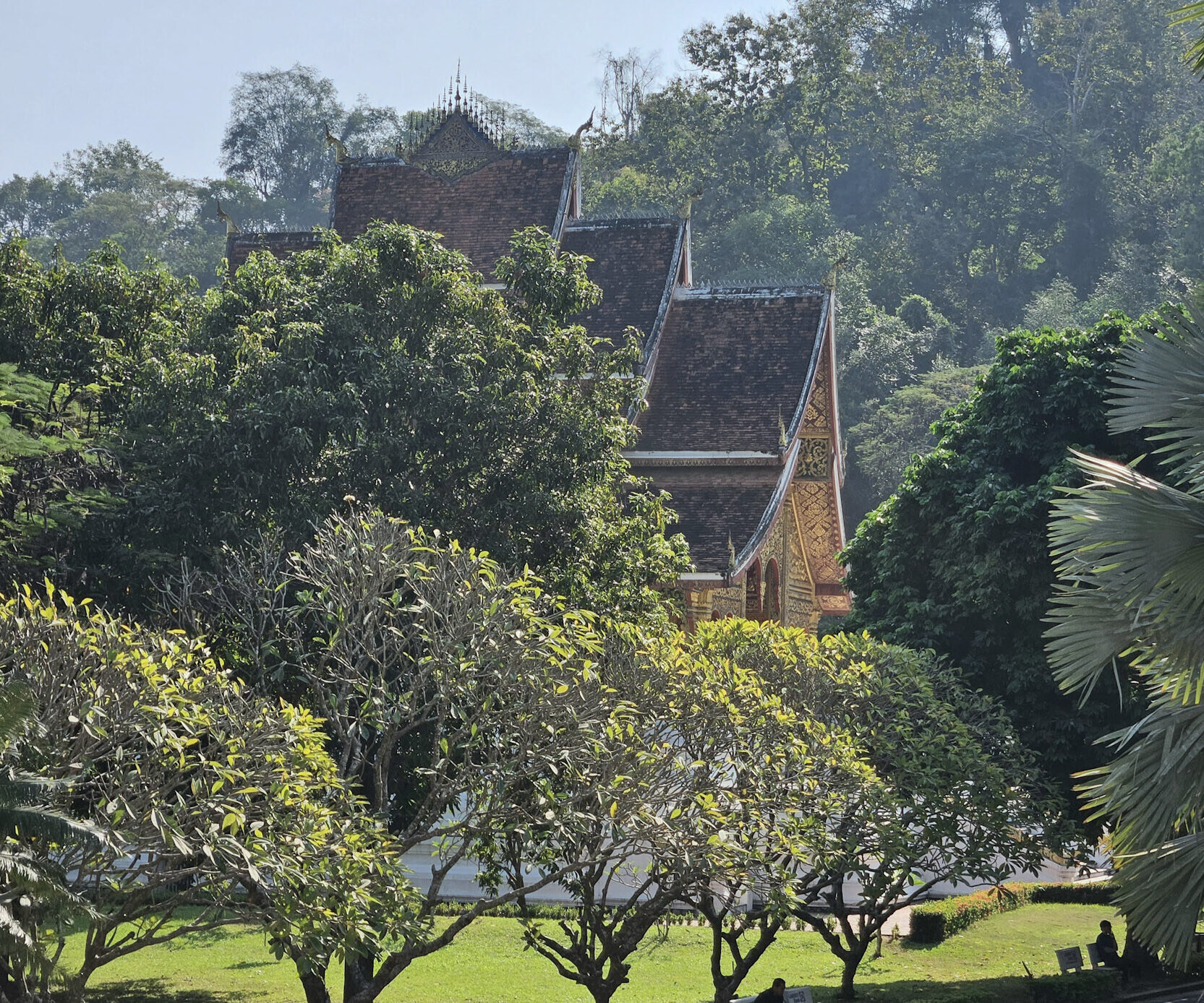 20231125_101643-aspect-ratio-330-275