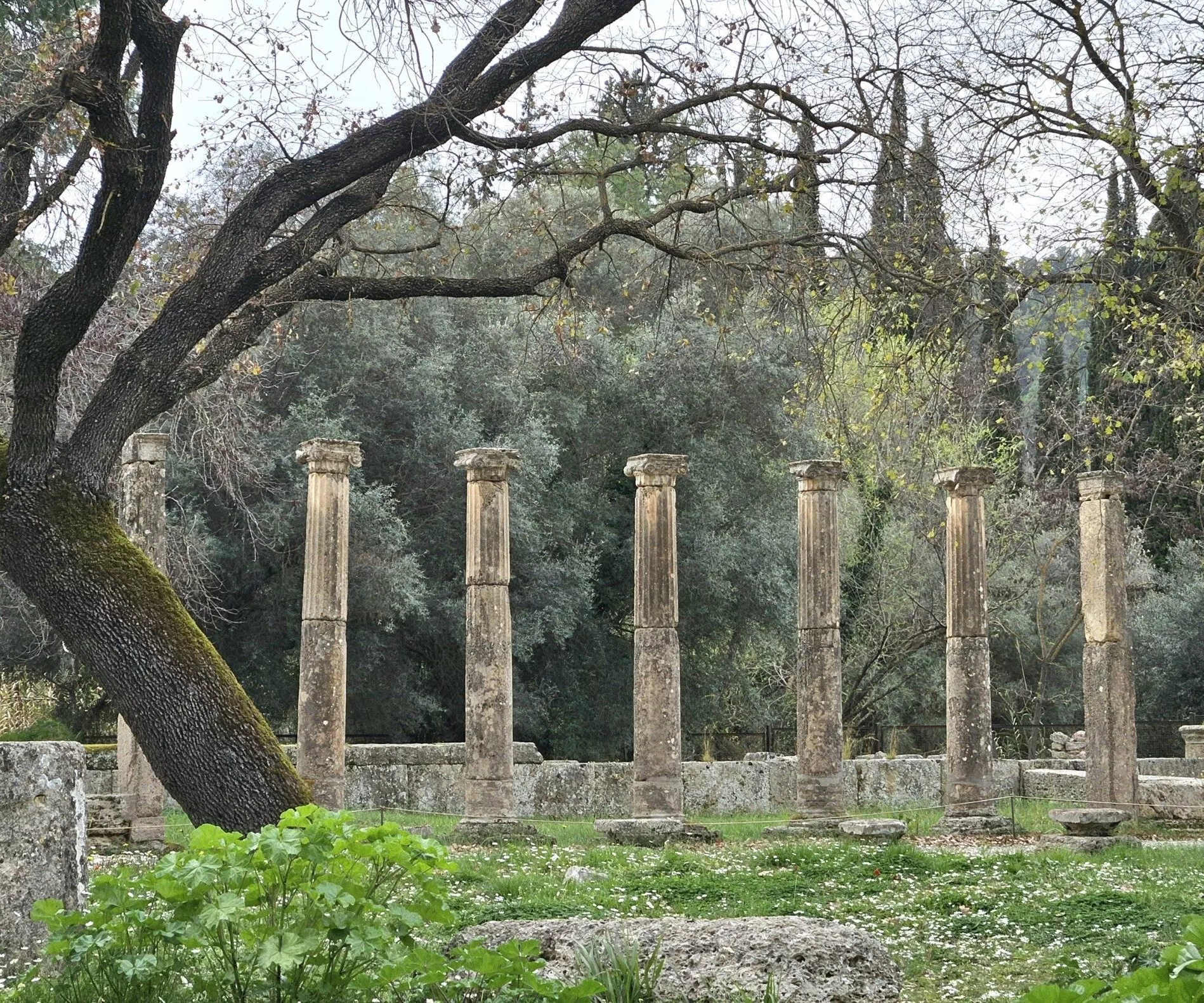 20250312_143934-1-aspect-ratio-330-275